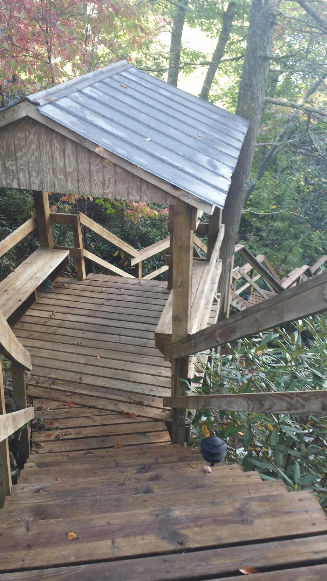 Metal roofed shelter over wooden steps on a wooded walkway — Skylight Repair & Installation work by our crew in Lane