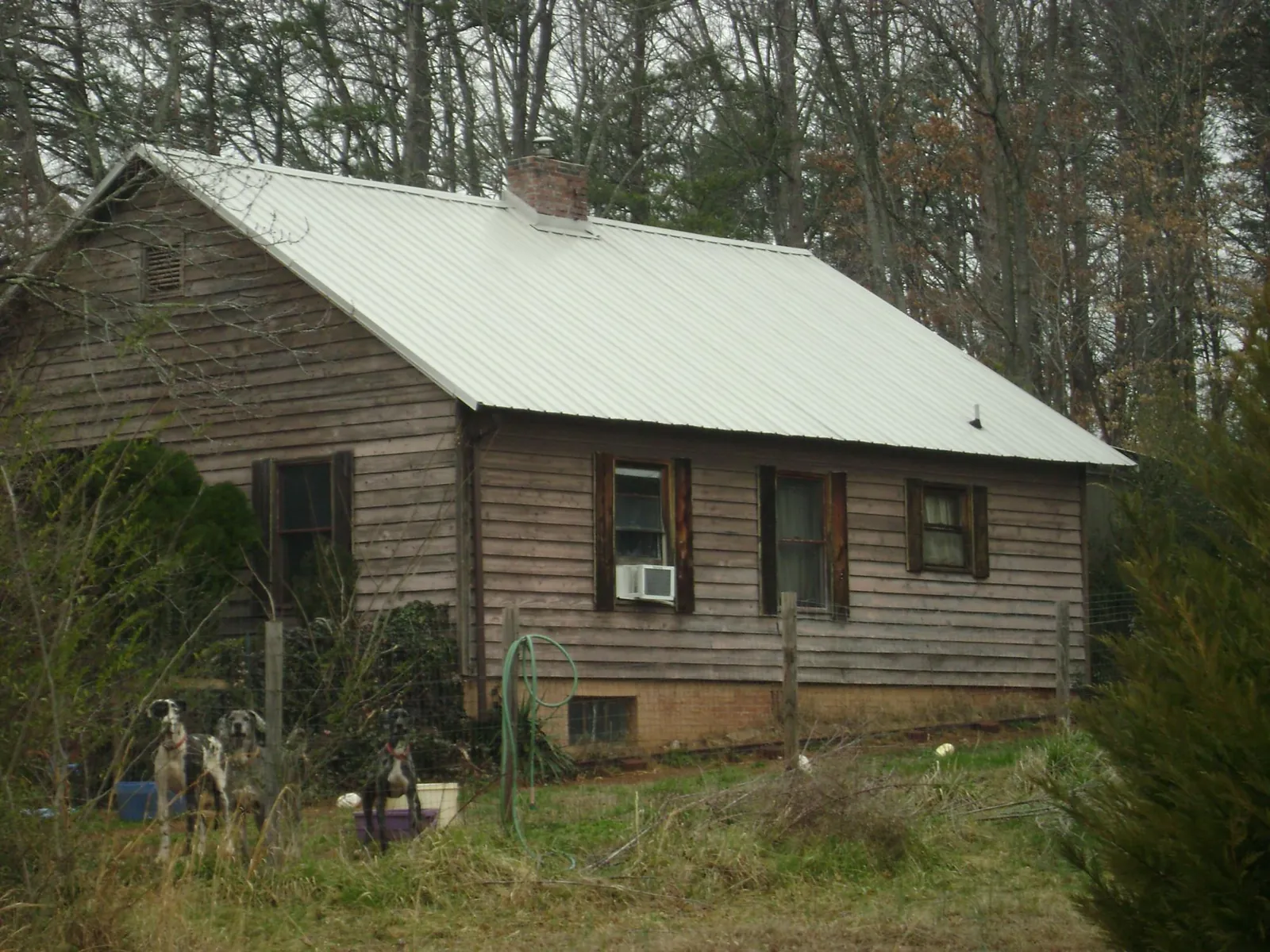 White metal roof on an old wood sided farmhouse, from a Metal Roof Installation job in Lane